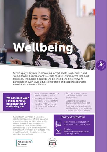 Health Promoting Schools Wellbeing A4 Flyer