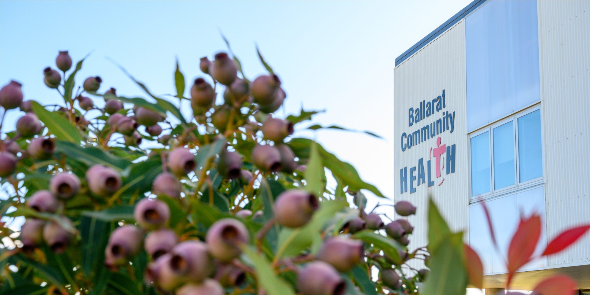 Ballarat Community Health