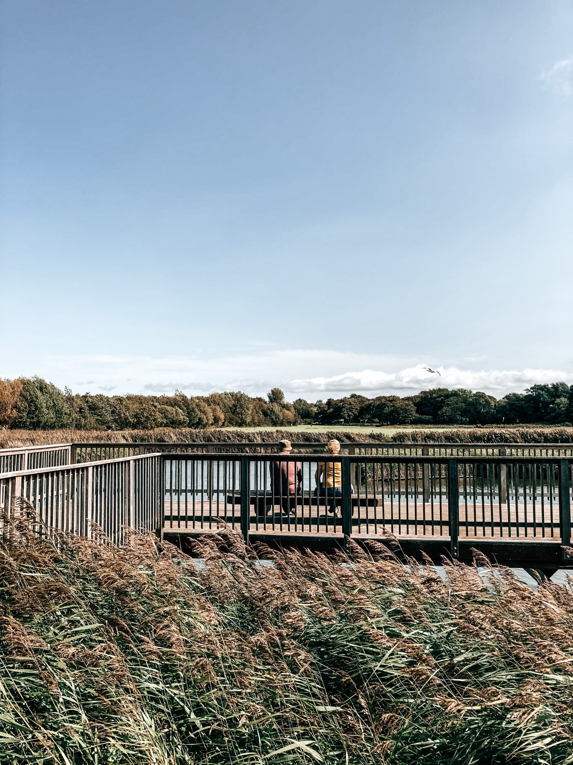 two people on a park bench beside a lake in the sunshine