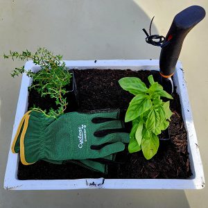 community gardening Ballarat