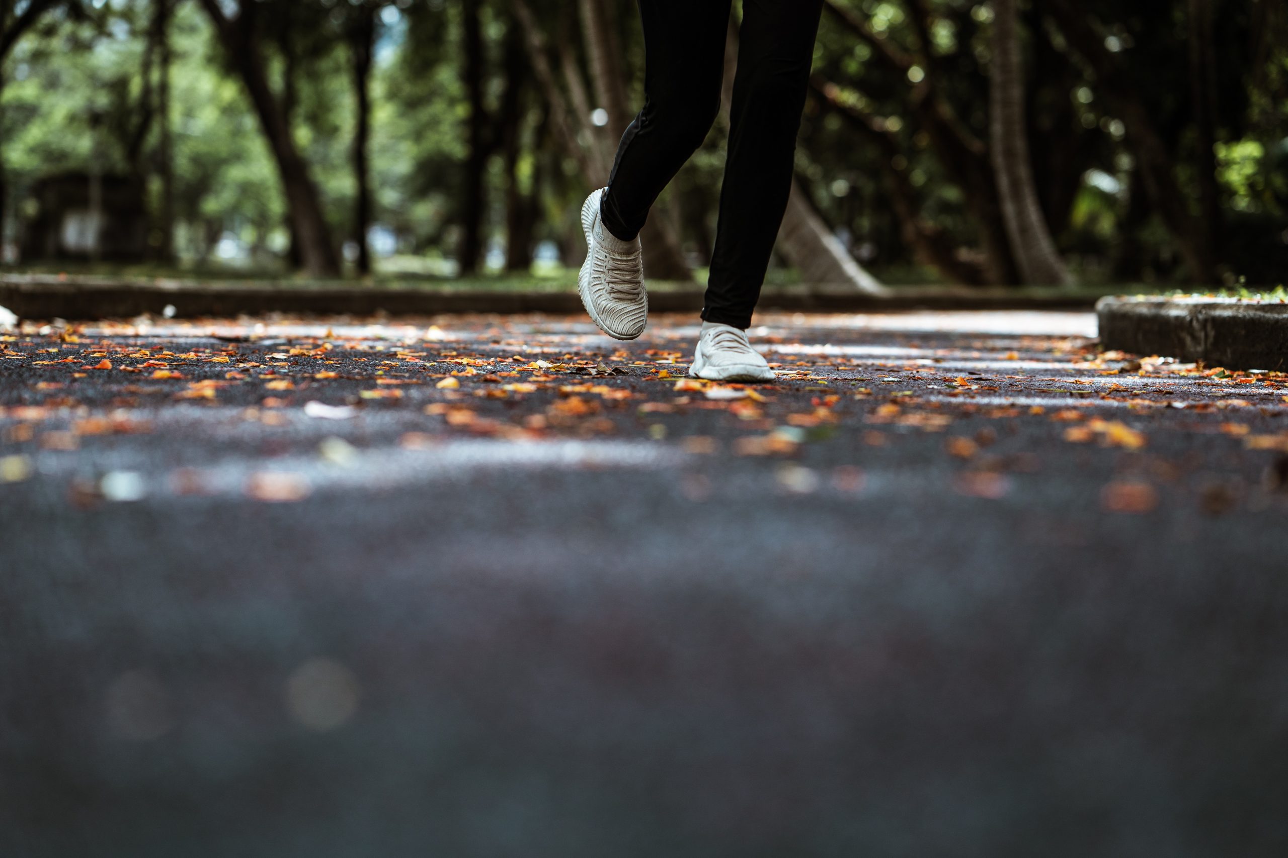 Cropped image of feet walking on a footpath through a park